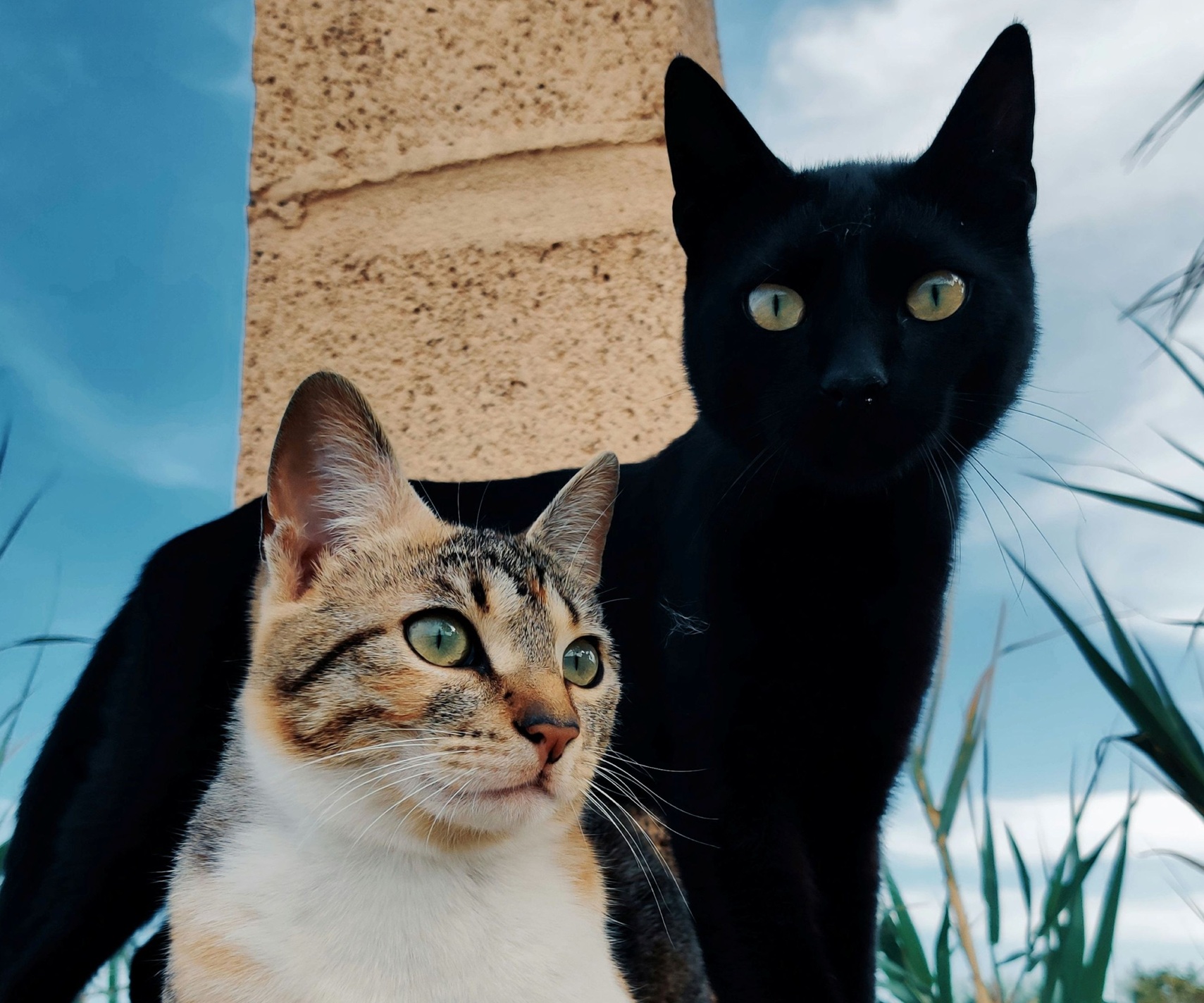 Luna and Oliver